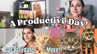 GYPSY HOUSE WIFE &hearts; DAY IN MY LIFE | Cleaning, Hair Dye,  Kitty Playdate + More 🙌🏼🐾