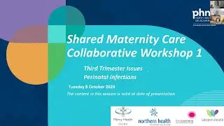 Shared maternity care workshop 1: Third trimester issues and infectious diseases in pregnancy