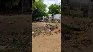 Daily walking routine