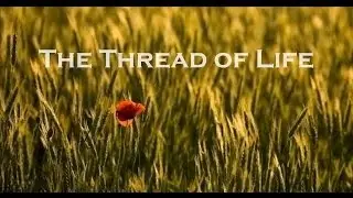 The Thread of Life