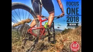 Review Focus O1E 2018 - Focus ONE - MDB Network