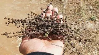 Nature's Art: Unique Textures Found in Nature | Eco-Friendly Texture Art