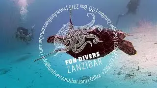 Seafloor Discoveries
