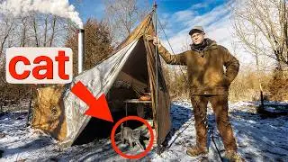 Winter Solo Camping | 9°F and Surprise Visitors
