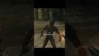 Skyrim ٠ Followers Reaction to Healing Spell