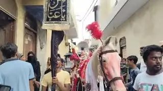 मुरादनगर। मोहर्रम की सातवीं पर निकला जुलूस-ए- जुलजुनाह,श्रद्धा और आस्था का प्रतीक बना घोड़े का जुलूस