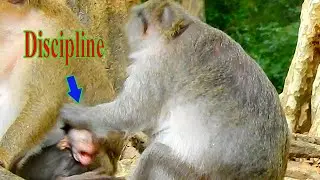 MOM JADE DISCIPLINE BABY JINX STILL JINX CRYING LOUDLY!