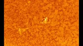 Solar Active Region from 11-16-25