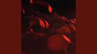 Horror Sounds