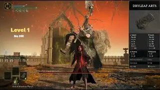 Level 1 Karate vs Godfrey (No Hit) - Elden Ring