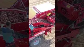 Grimme EVO 290 AIRSEP #rowshow #grimme #evo290airsep
