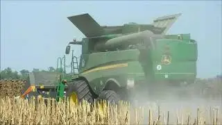 Napraforgó betakarítás 2019