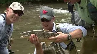 Ловля огромных коричневых и радужных форелей в Spruce Creek!