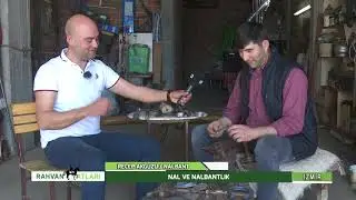 RAHVAN ATLARI | RAHVAN ATLARDA NAL DEĞİŞİKLİĞİ NASIL YAPILIR - 20.05.2021