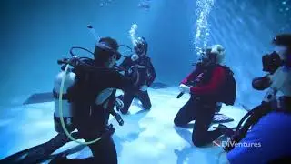 Learn to scuba dive at Diventures