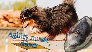 AGILITY MUSIC VIDEO (More than you know)