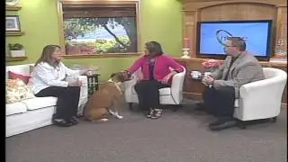 Alpine Animal Hospital - Pet Check-ups