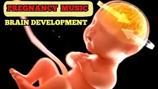 Music for Brain Development, Music for Baby Inside The Womb, Music for Pregnancy And Unborn Baby *91