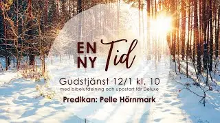 EN NY TID, Pelle Hörnmark, 12 Januari