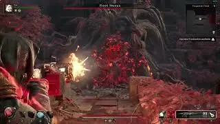 Root Nexus gets rekt