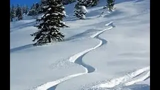 Skiing Powder, Brighton Utah -  Milly Bowl February 19, 2016