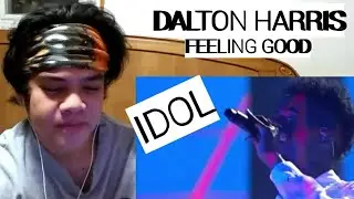 REACTION | DALTON HARRIS - FEELING GOOD | LIVE SHOWS WEEK 6 X FACTOR UK