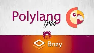 Brizy & Polylang (FREE) 2018  [L3]
