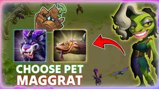 BEST WAR PETS FOR MAGGRAT‼️ SAND LIZARD BUILD PET SKILLS - CALL OF DRAGONS