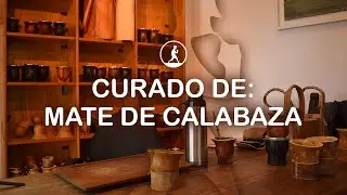 ¿Cómo curar un mate de calabaza?