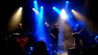 Dante @ R&uuml;sselsheim, Das Rind