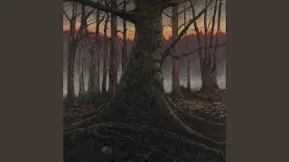 The Crooked Trail