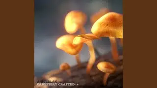 THE FLIPSIDE OF THE RAINBOW