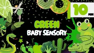 Baby Sensory Video: GREEN ADVENTURE Animations + Fun Music + Visual Stimulation for Babies