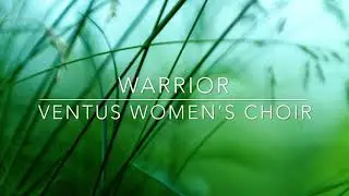 Warrior ~ The Wyrd Sisters