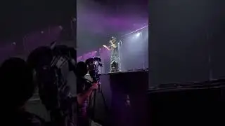 Sexion d'Assaut - Pas les loves (Live)