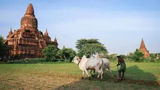 Clean Bagan Project in Myanmar