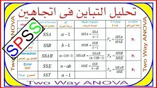Two Way ANOVA SPSS |اختبار تحليل التباين الثنائي
