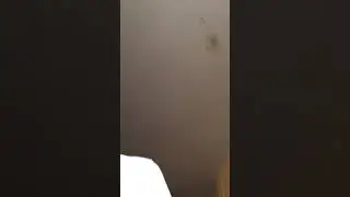 Shhh