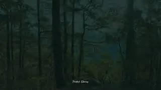 Yellow Trail | Camp John Hay | Baguio City | Philippines