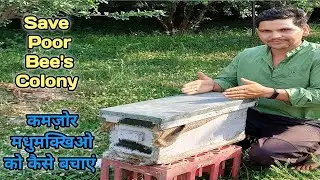 Results Of Small Box !!! छोटे बॉक्स एक फ़ायदे अनेक