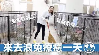 【黑白波Funtutu】當一天的兔兔奴隸吧😍