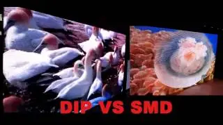 Mrled Screen - Difference between SMD and DIP.