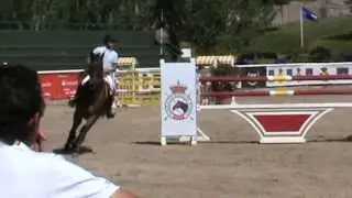 wollywell RACE