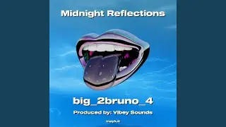 Midnight Reflections