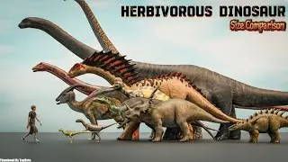 Herbivorous Dinosaur Size Comparison – From Smallest to Biggest