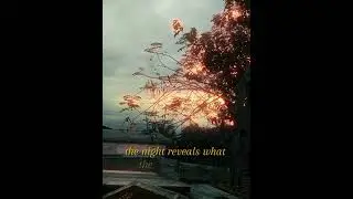 Raijin (ライ デン) - Bound by Stars (Official Lyric Video)
