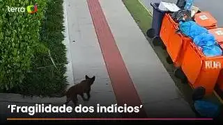 Defesa de adolescente contesta autoria com v&iacute;deo que mostra Orelha andando ap&oacute;s o hor&aacute;rio do ataque