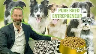 Purebred Entrepreneur