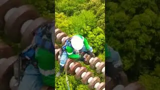 Cleaning insulator carefully