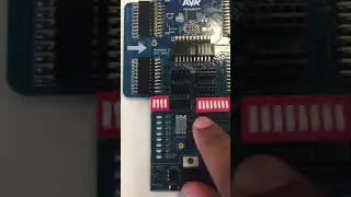 Processors Lab 5 Activity 3: Part 1